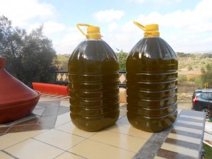 extra virgin olive oil, Santa Catarina do Fonte da Bispo, Algarve, Portugal