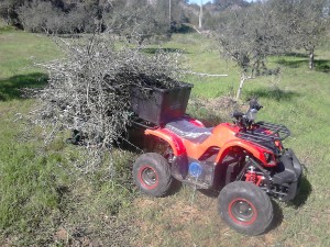 1000W adult electric quad bike, ATV, Fuseta, Algarve