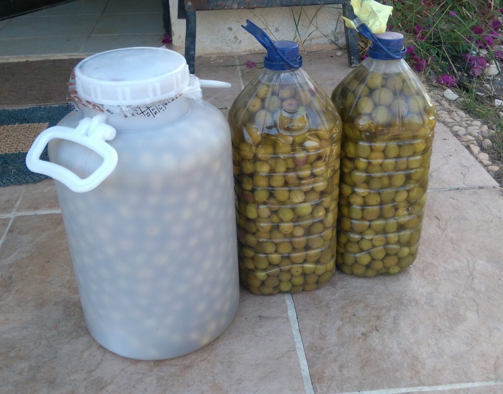 azeitonas consevada, pickled olives, Belmonte, Luz de Tavira, Algarve, Portugal