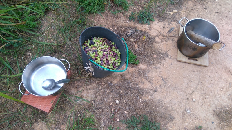Home made olive oil attempt / tento fazer azeite caseiro,  Belmonte, Luz de Tavira, Algarve, Portugal