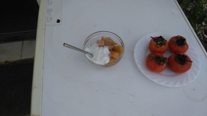 persimmons /diospiros) and stewed apples and yogurt, Belmonte, Luz de Tavira, Algarve , Portugal