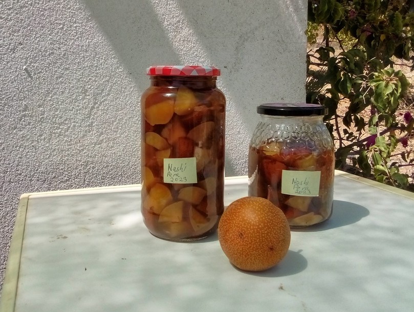 Stewed nashi pear, Belmonte, Luz de Tavira, Algarve, Portugal 