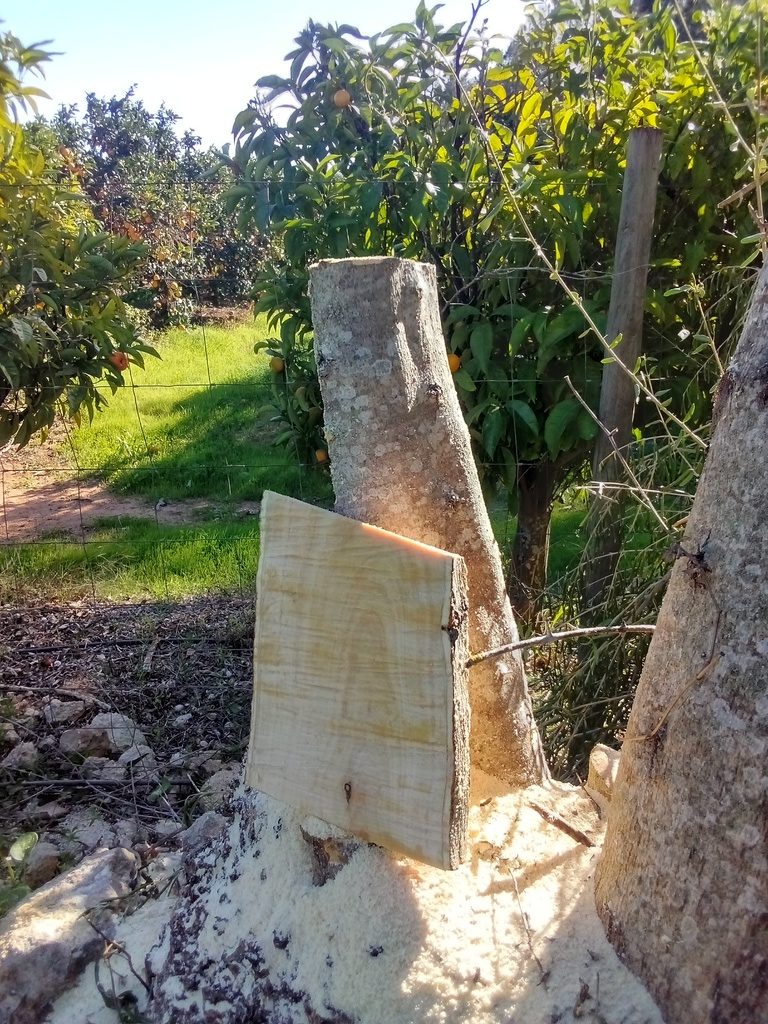 Making a samll cutting board / Fazendo uma tábua de cortar, Belmonte, Luz de Tavira, Algarve, Portugal